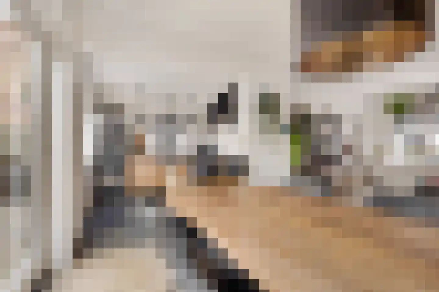 Larixlaan 39 Zwanenburg thumbnail 13