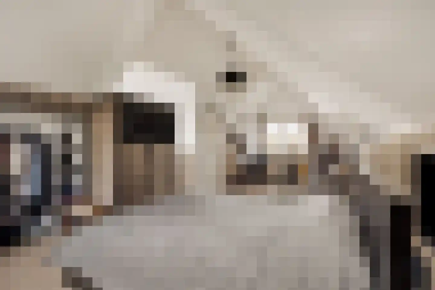 Larixlaan 39 Zwanenburg thumbnail 29