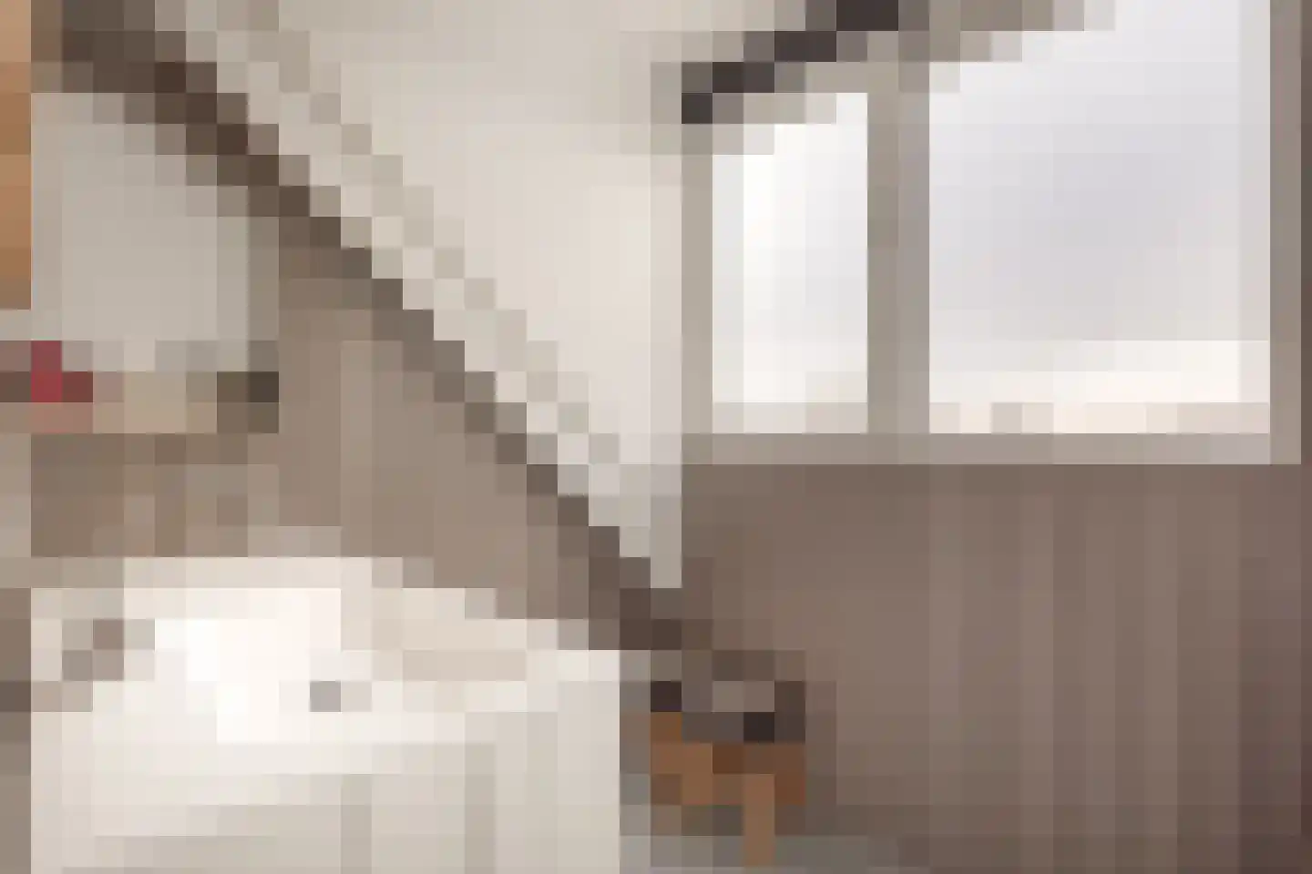 Larixlaan 39 Zwanenburg thumbnail 30