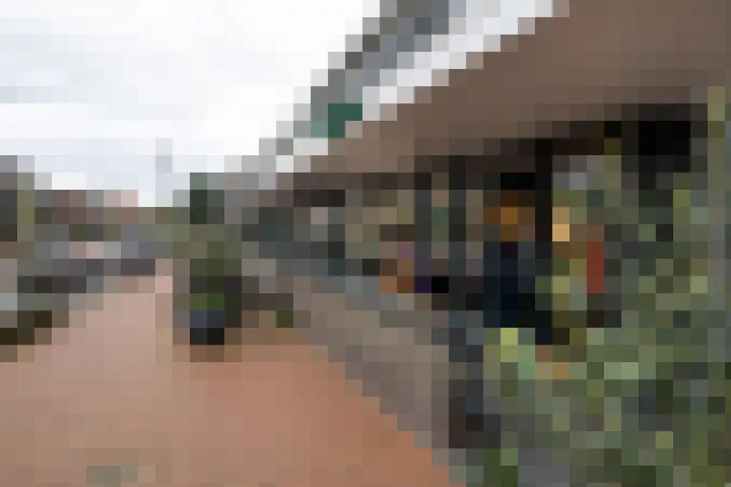 Larixlaan 39 Zwanenburg thumbnail 35
