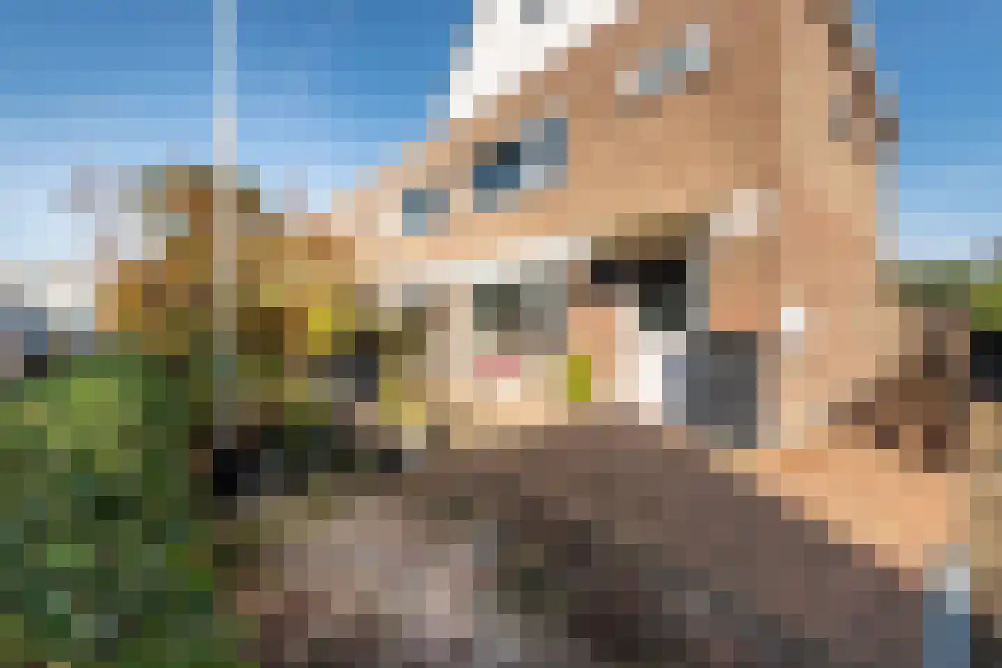Larixlaan 39 Zwanenburg thumbnail 8