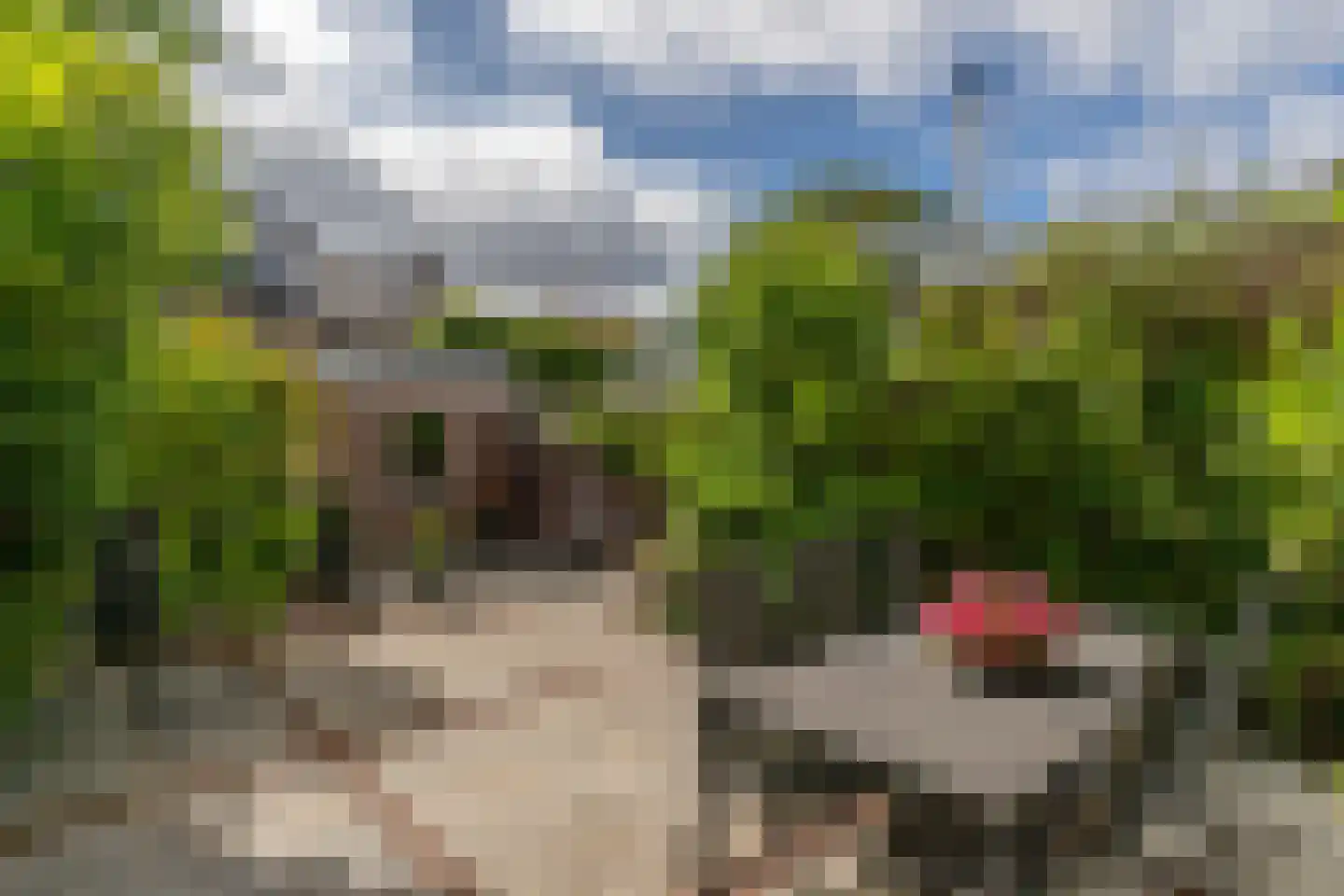 Larixlaan 45 Monster thumbnail 16