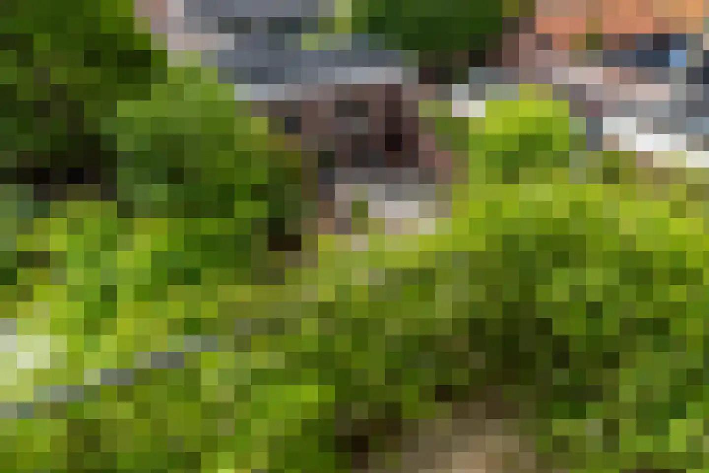 Larixlaan 45 Monster thumbnail 20