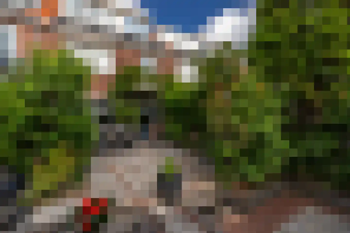 Larixlaan 45 Monster thumbnail 4