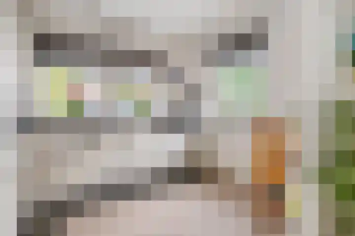 Larixlaan 5 Woudrichem thumbnail 11