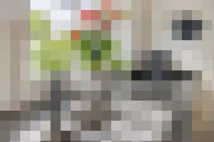 Larixlaan 5 Woudrichem thumbnail 12