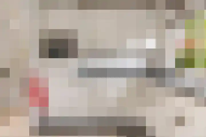 Larixlaan 5 Woudrichem thumbnail 13
