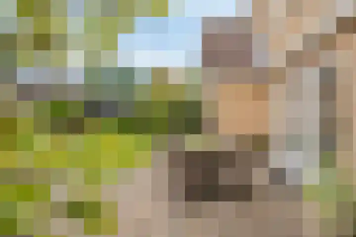 Larixlaan 5 Woudrichem thumbnail 15