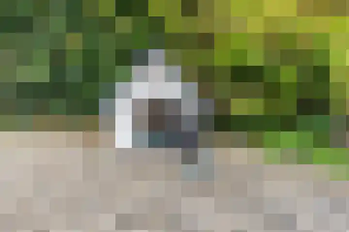 Larixlaan 5 Woudrichem thumbnail 17