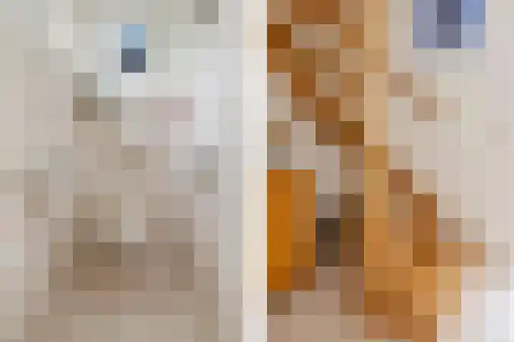 Larixlaan 5 Woudrichem thumbnail 20