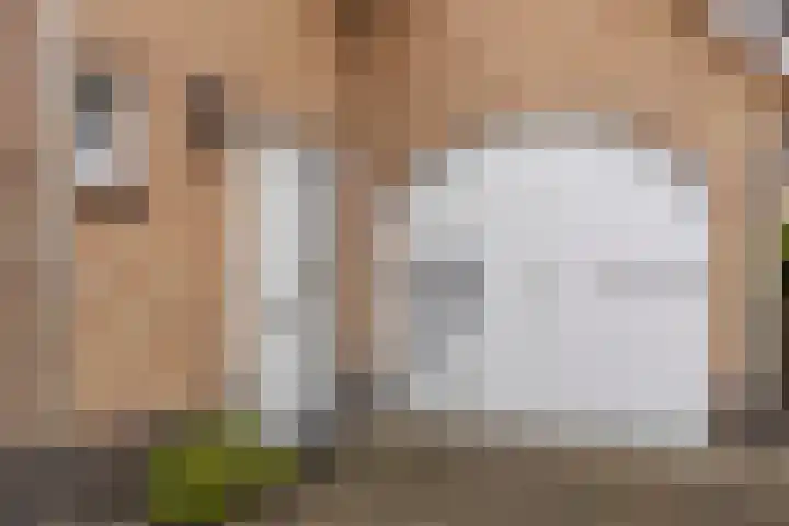 Larixlaan 5 Woudrichem thumbnail 31