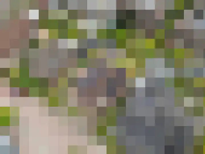 Larixlaan 5 Woudrichem thumbnail 32