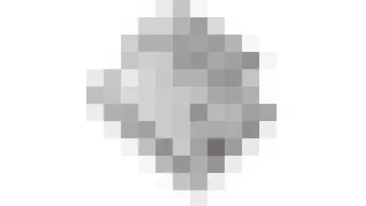 Larixlaan 5 Woudrichem thumbnail 34