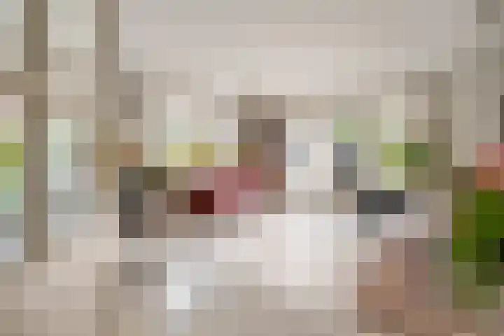 Larixlaan 5 Woudrichem thumbnail 5