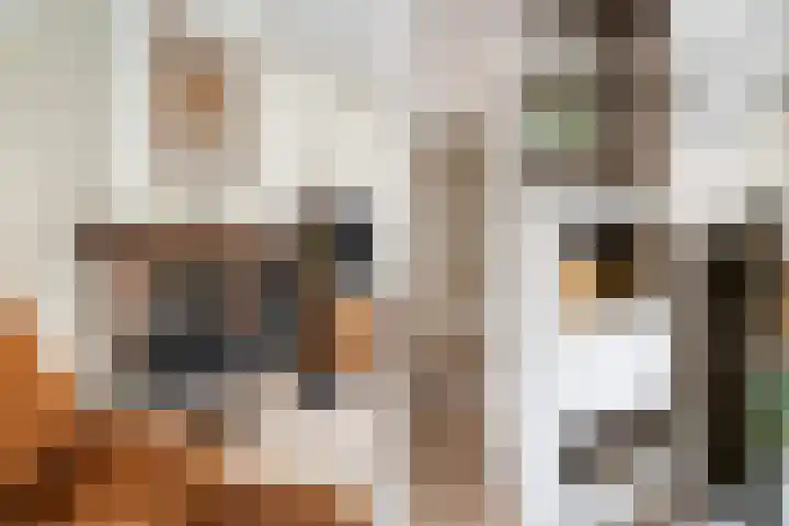 Larixlaan 51 Monster thumbnail 16