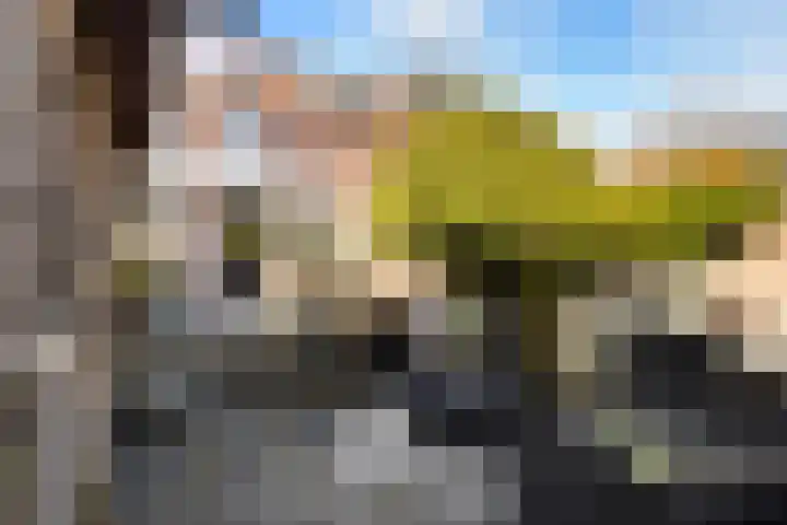 Larixlaan 51 Monster thumbnail 32