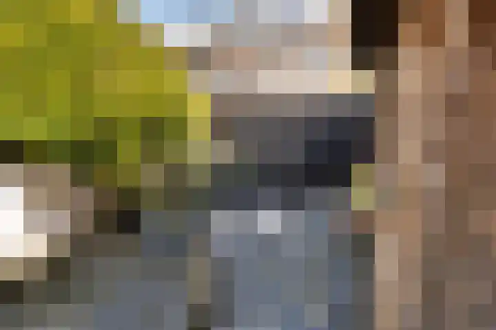 Larixlaan 51 Monster thumbnail 36