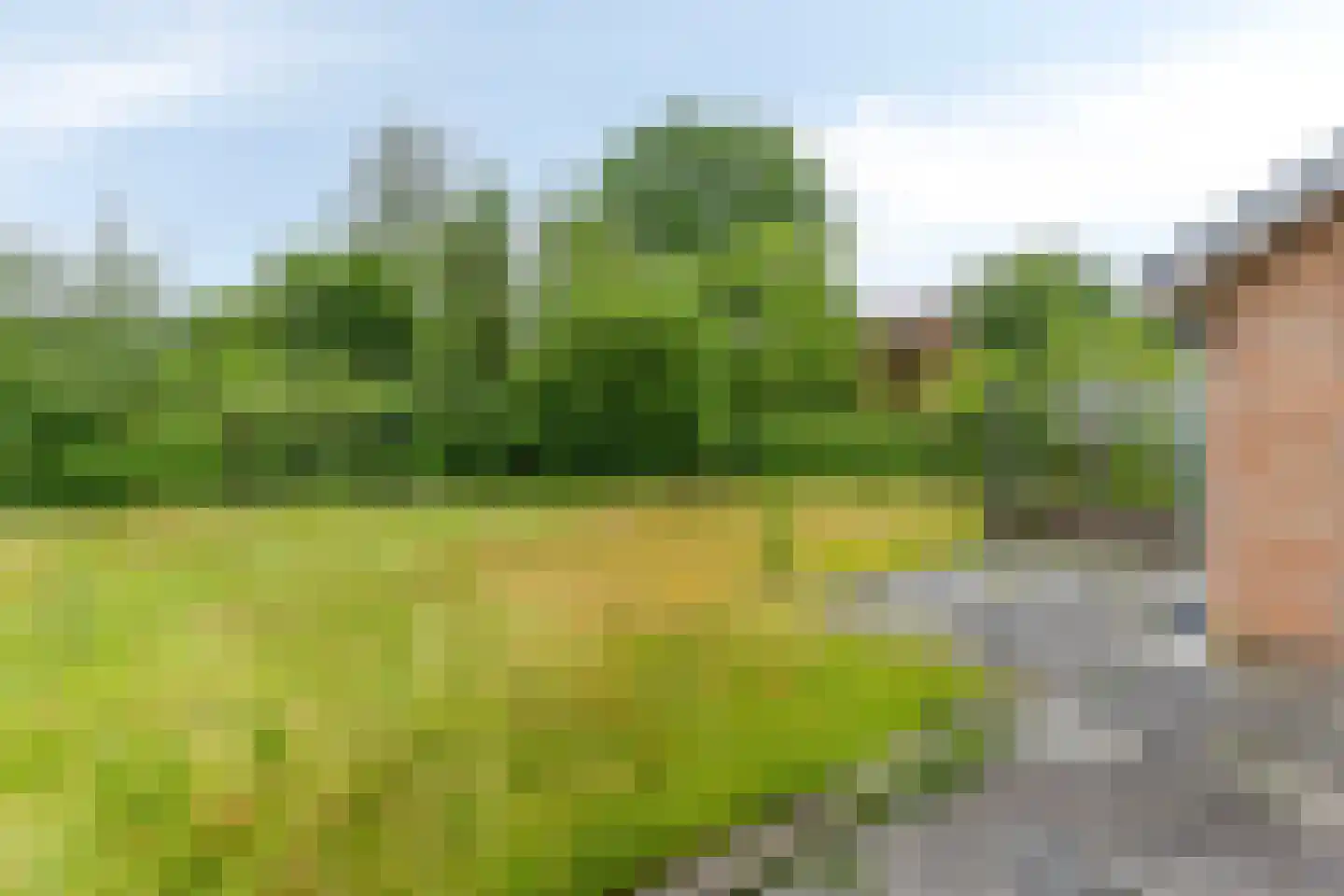 Larixlaan 6 Norg thumbnail 51