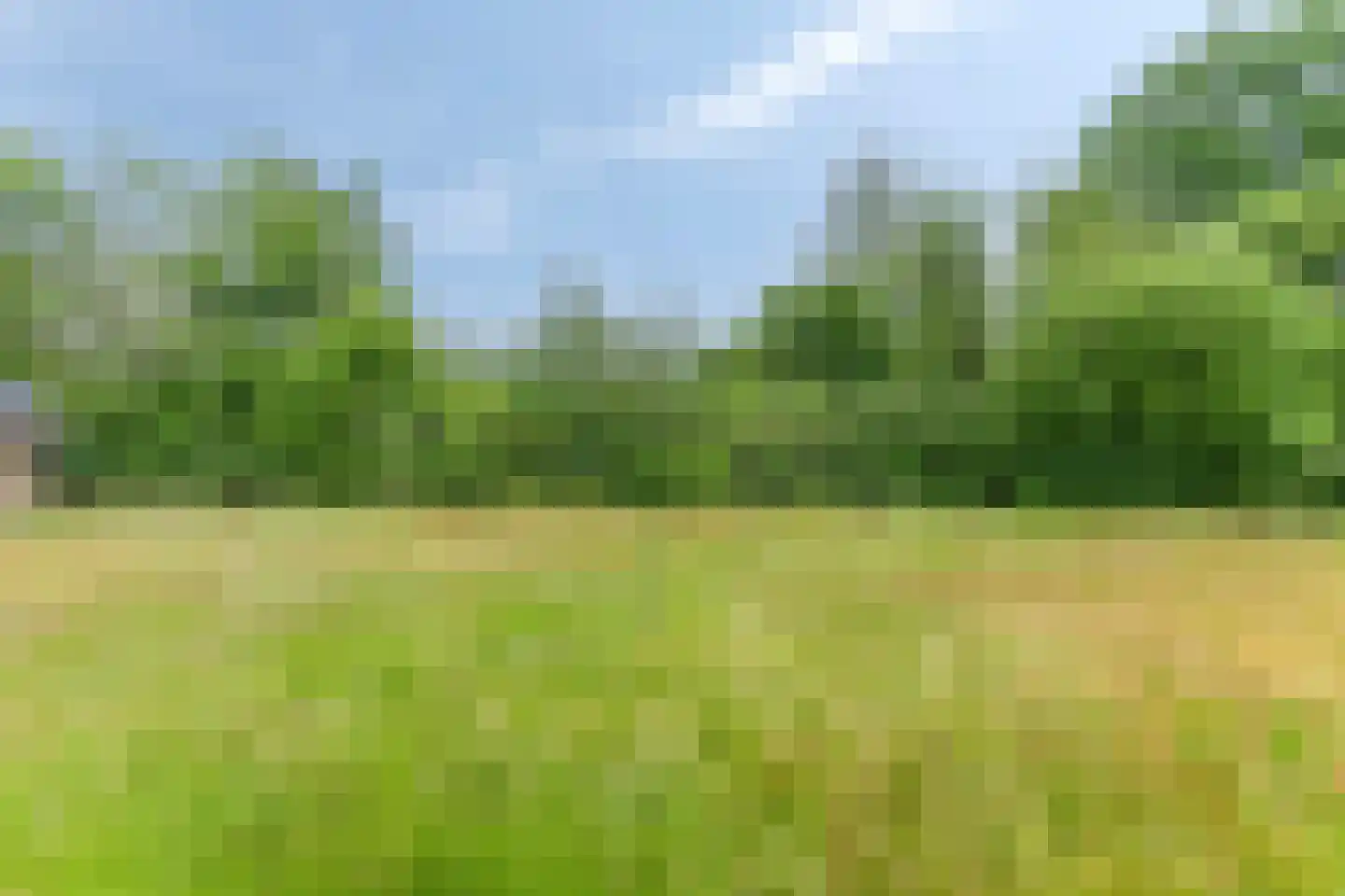 Larixlaan 6 Norg thumbnail 53
