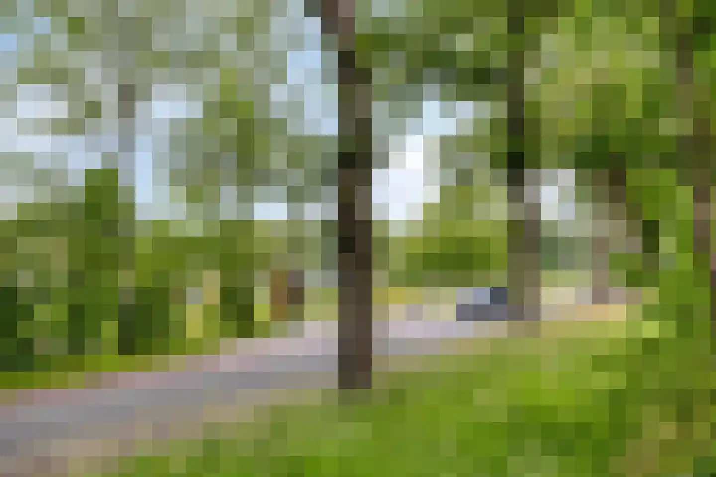 Larixlaan 6 Norg thumbnail 57