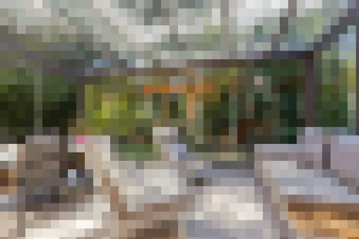 Larixlaan 7 Zeegse thumbnail 18
