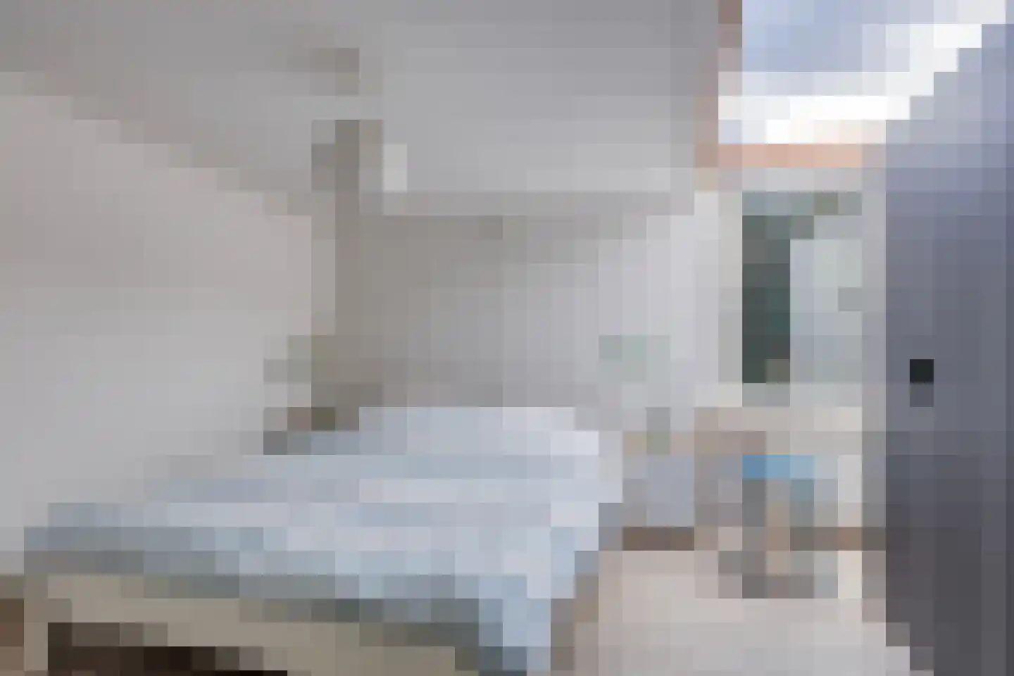 Larixlaan 7 Zeegse thumbnail 22