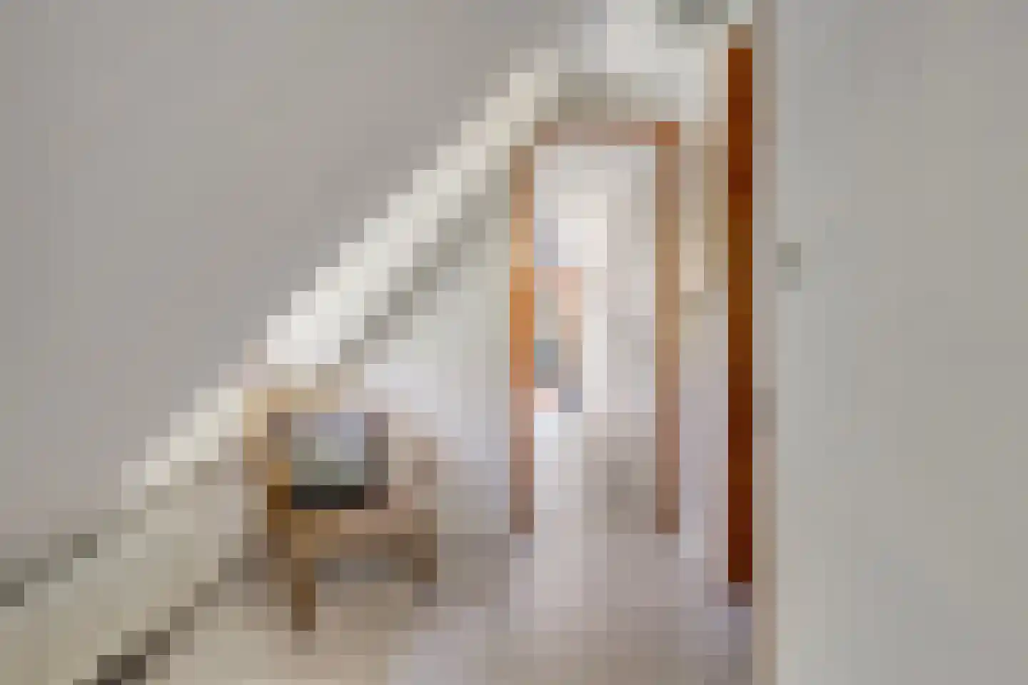 Larixlaan 7 Zeegse thumbnail 30