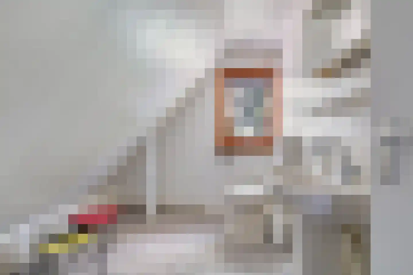 Larixlaan 7 Zeegse thumbnail 34