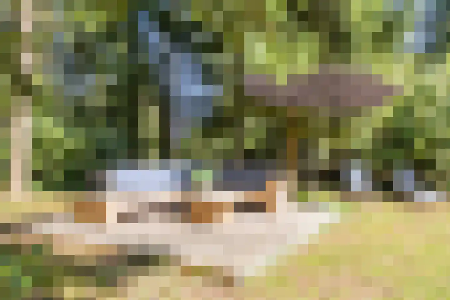 Larixlaan 7 Zeegse thumbnail 36