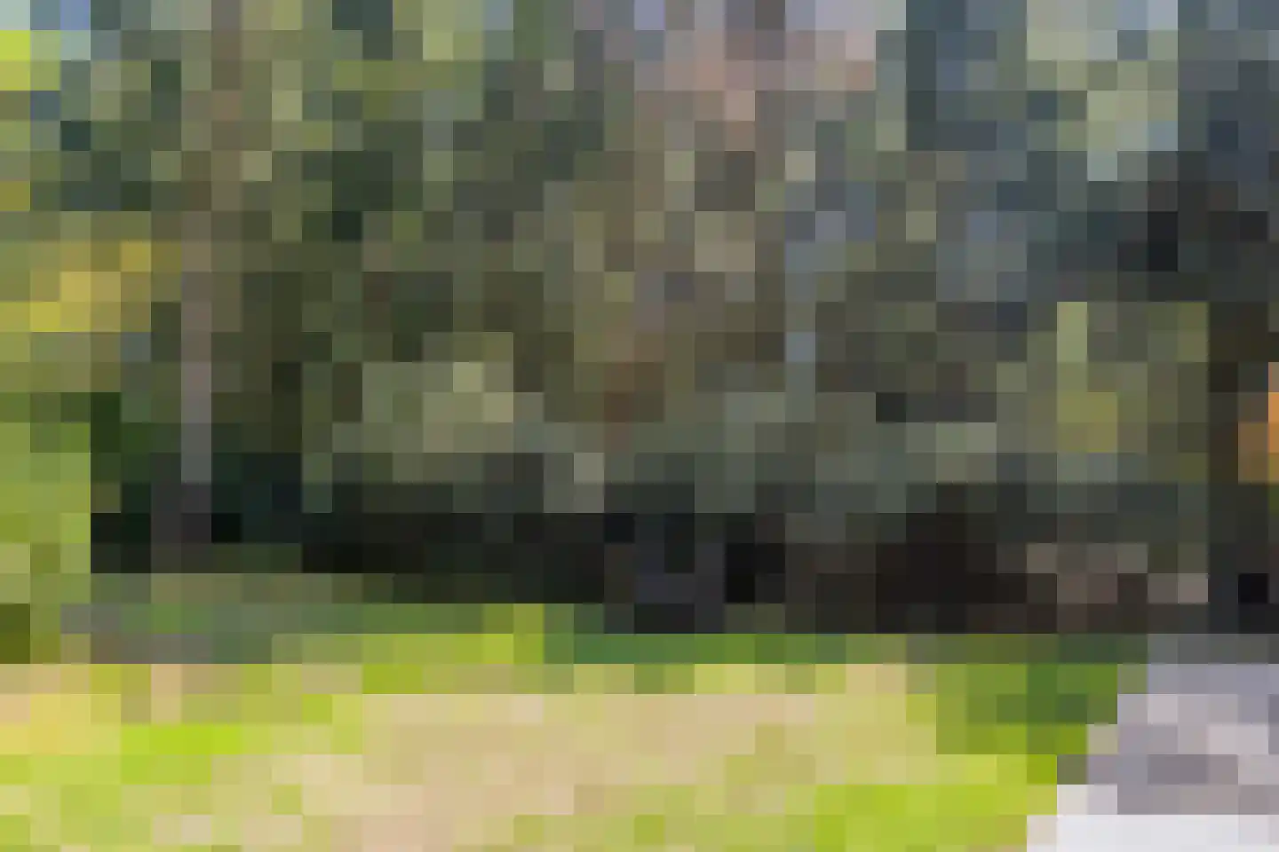 Larixlaan 7 Zeegse thumbnail 37