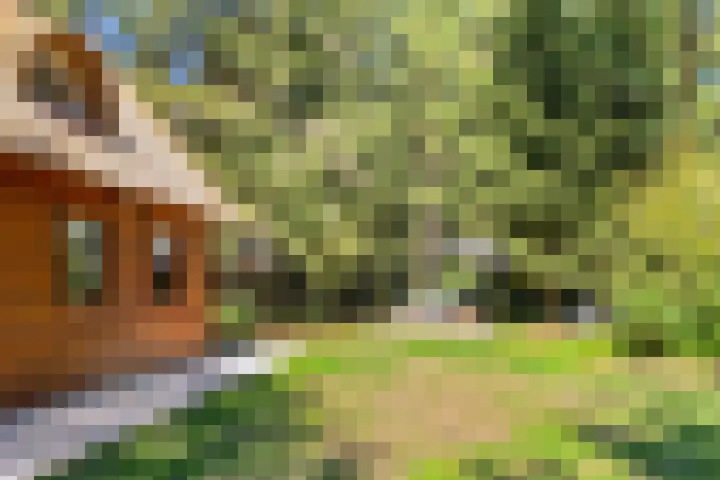 Larixlaan 7 Zeegse thumbnail 38