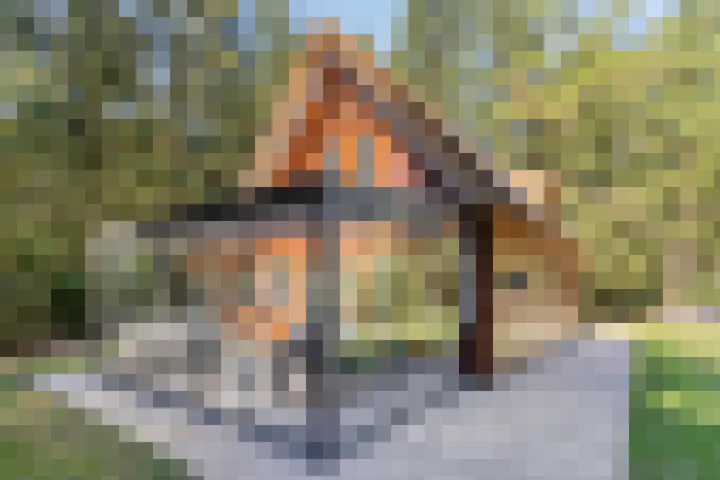 Larixlaan 7 Zeegse thumbnail 39
