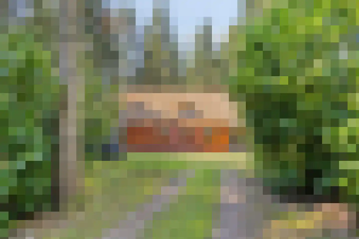 Larixlaan 7 Zeegse thumbnail 4
