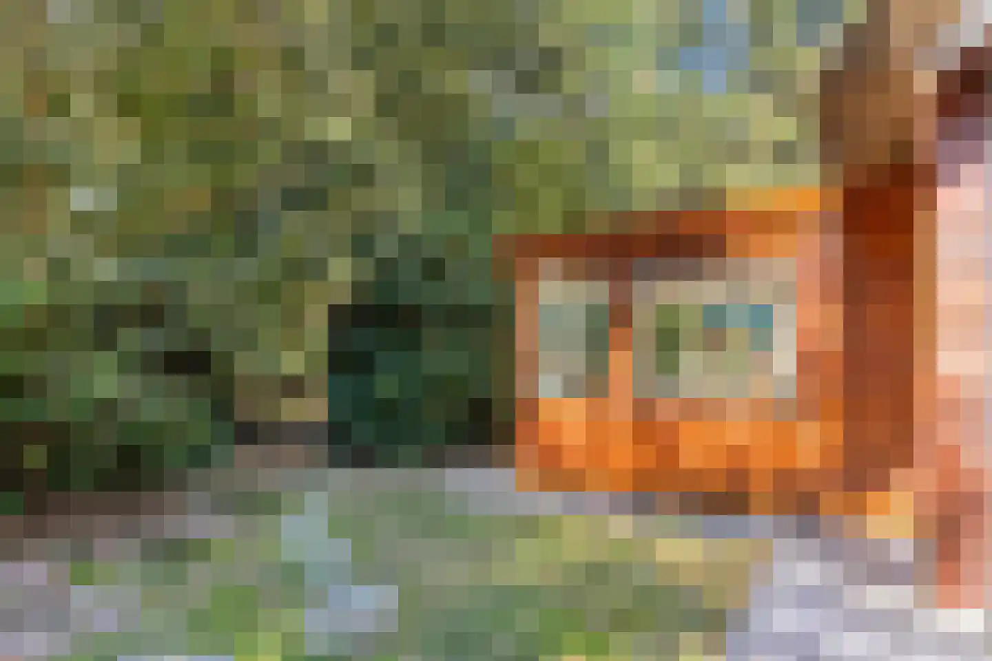 Larixlaan 7 Zeegse thumbnail 40