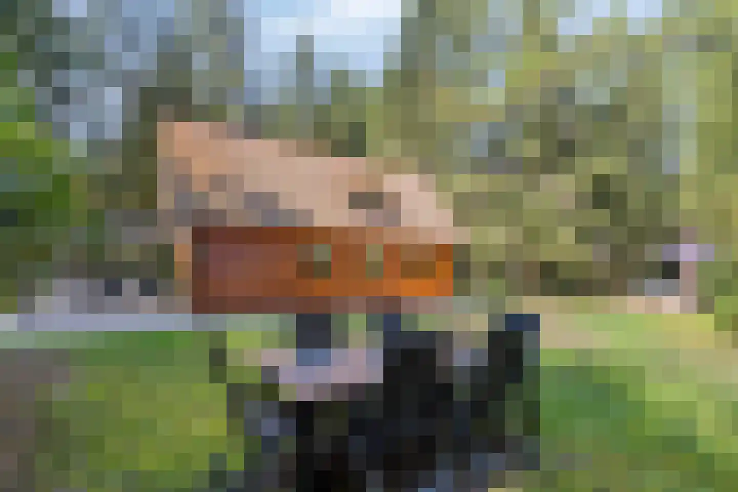 Larixlaan 7 Zeegse thumbnail 43