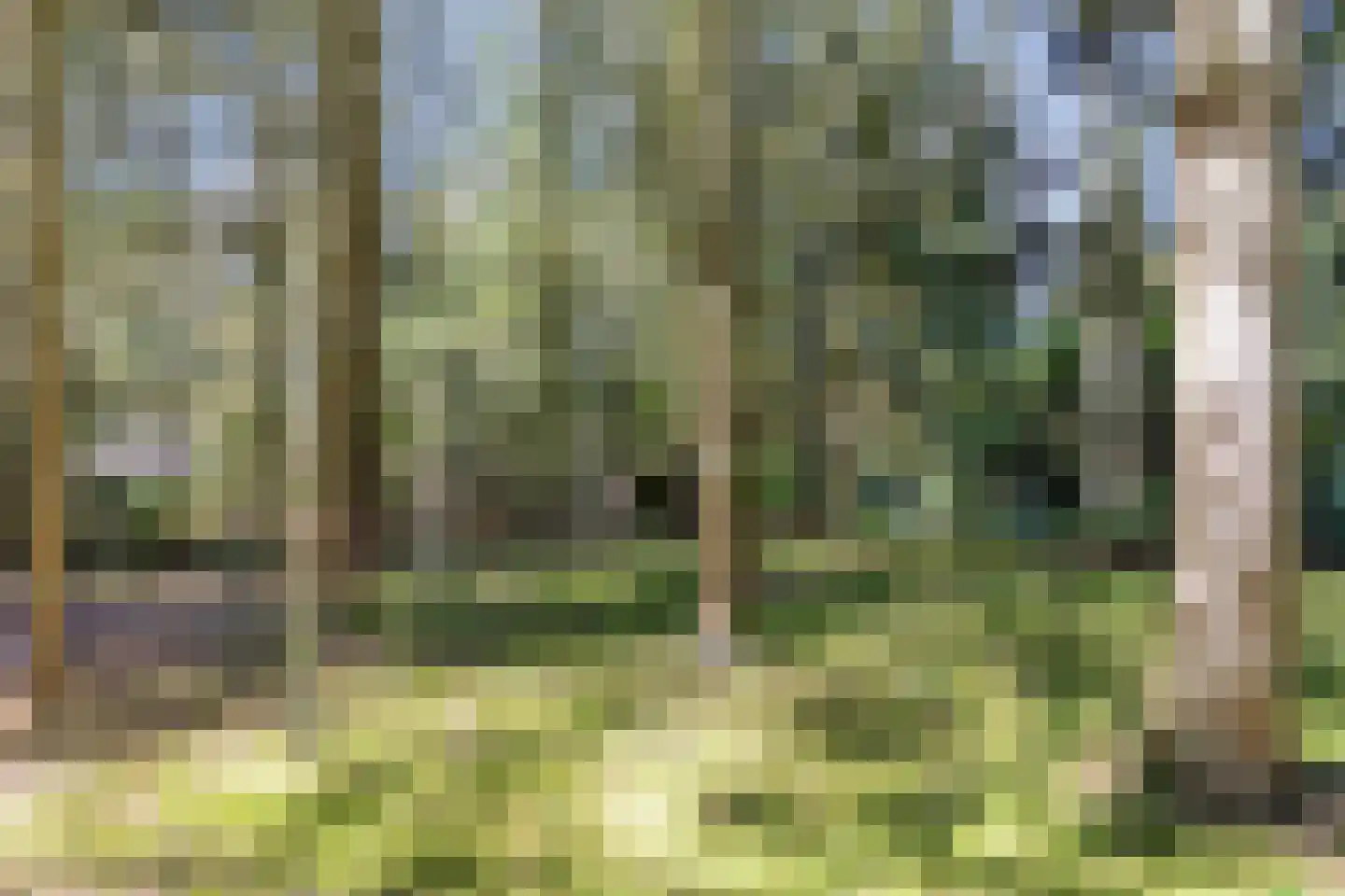 Larixlaan 7 Zeegse thumbnail 44