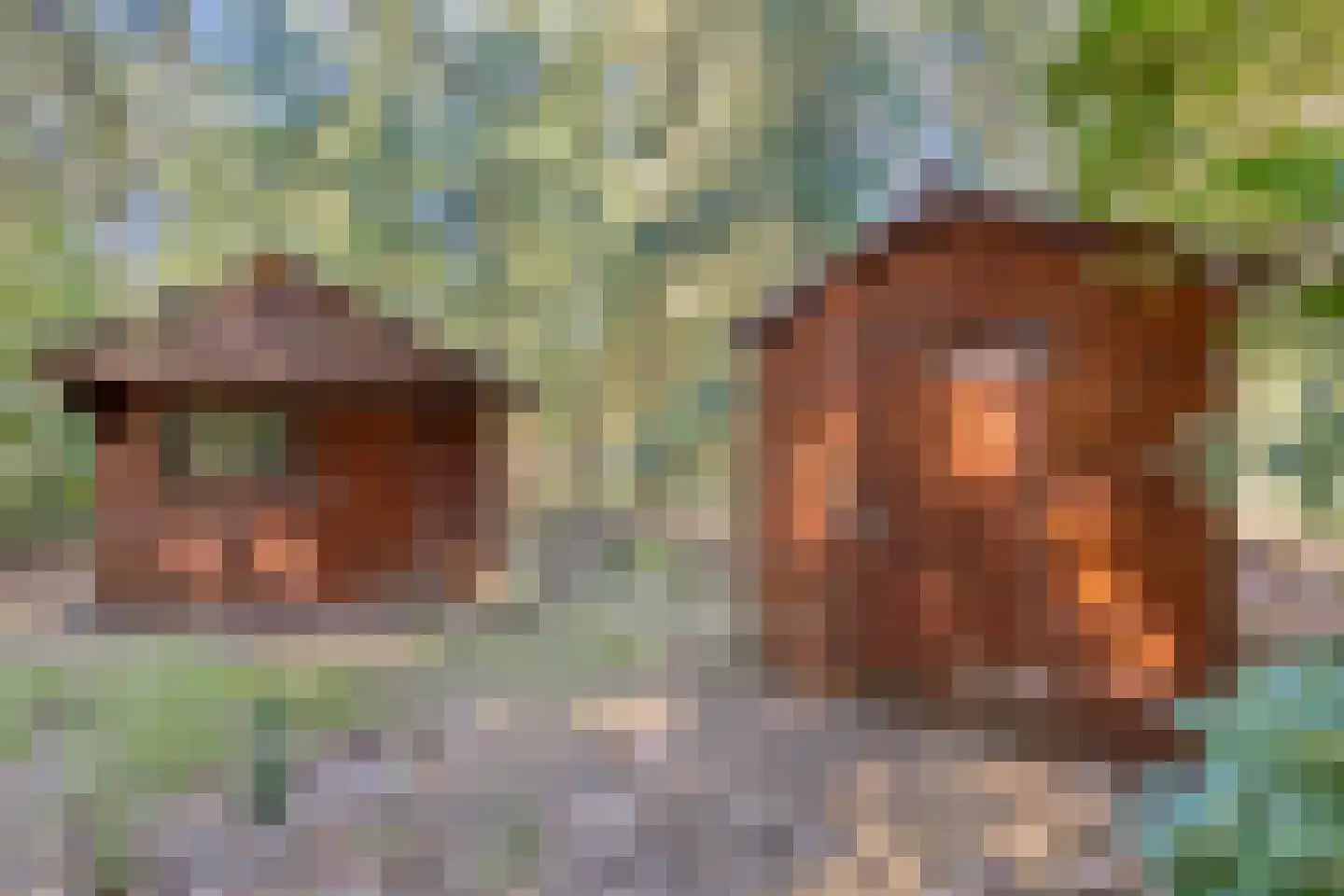 Larixlaan 7 Zeegse thumbnail 45