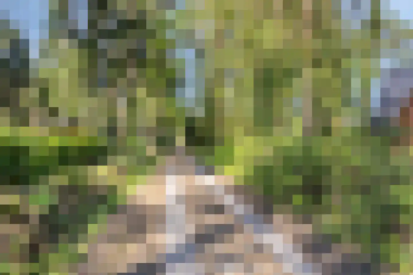 Larixlaan 7 Zeegse thumbnail 47