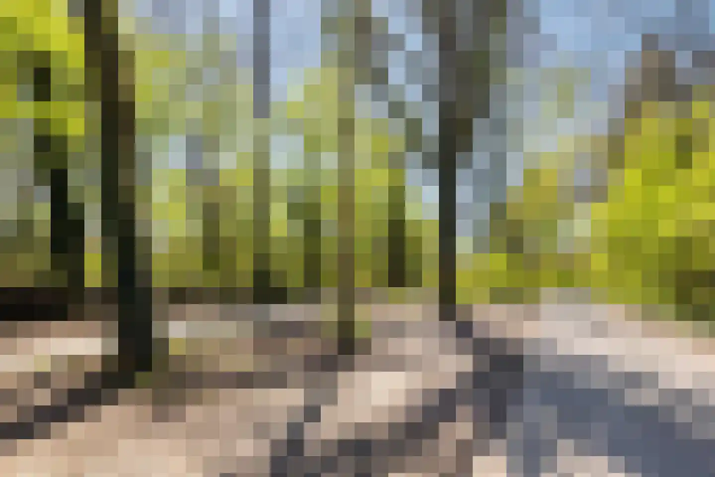 Larixlaan 7 Zeegse thumbnail 48