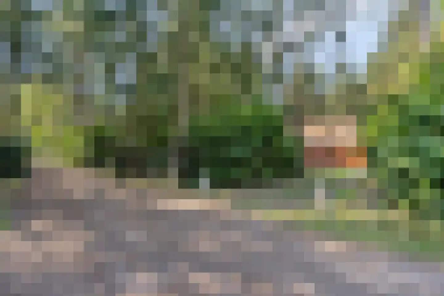 Larixlaan 7 Zeegse thumbnail 5
