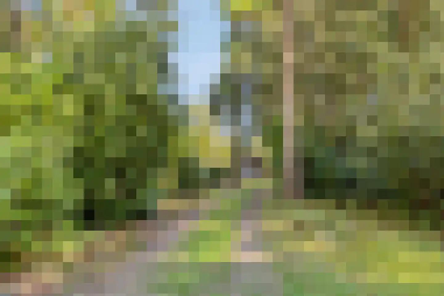 Larixlaan 7 Zeegse thumbnail 6