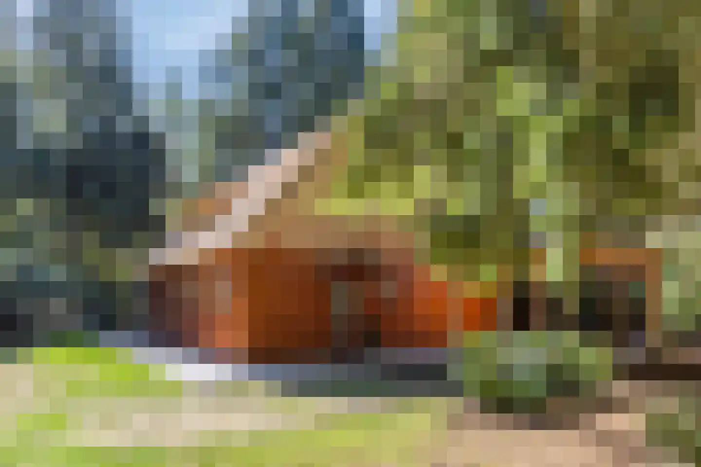 Larixlaan 7 Zeegse thumbnail 8