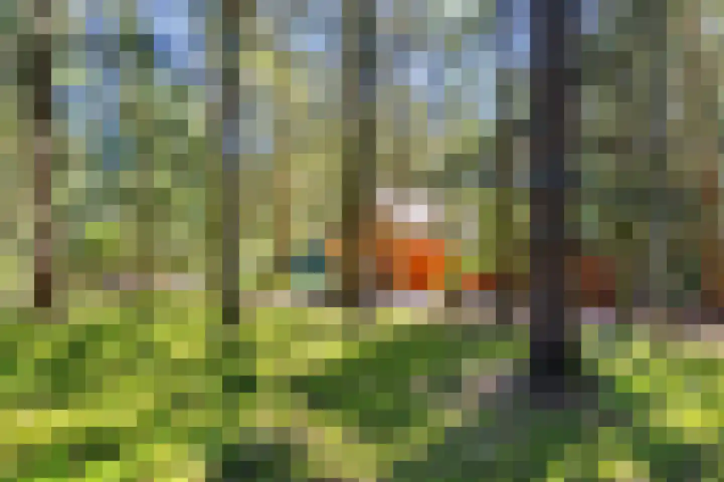 Larixlaan 7 Zeegse thumbnail 9
