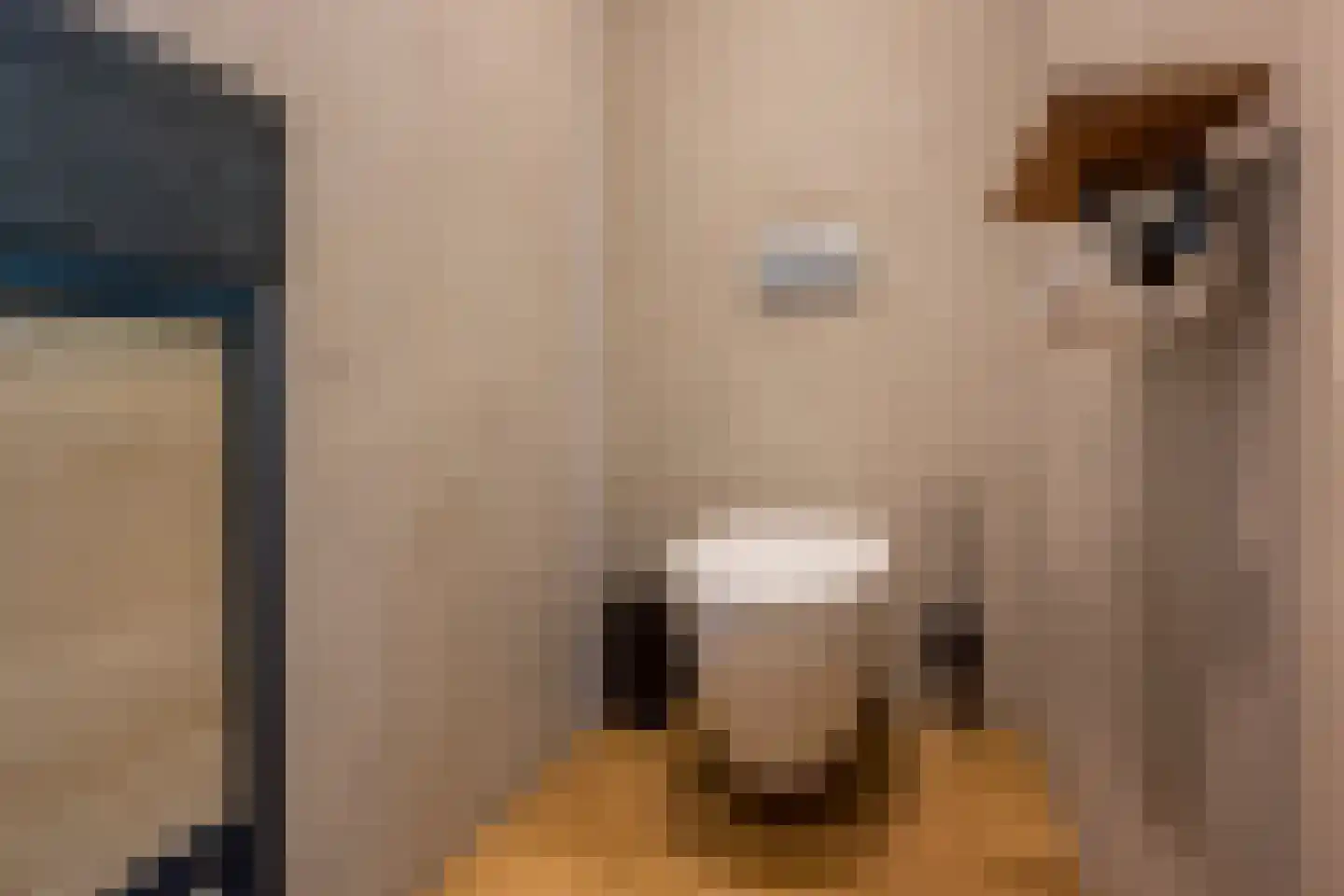Larixlaan 74 Nijkerk thumbnail 18