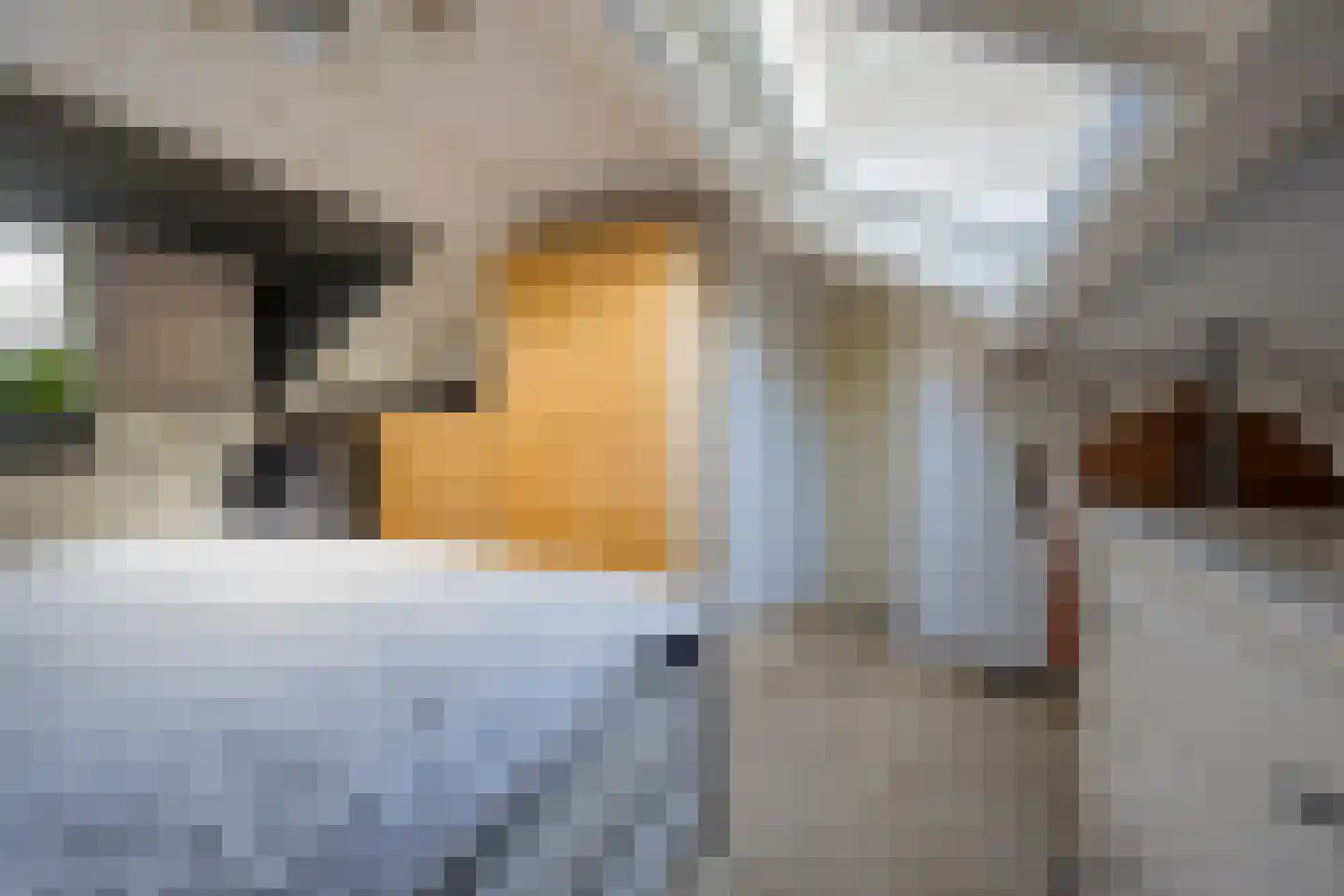 Larixlaan 74 Nijkerk thumbnail 27