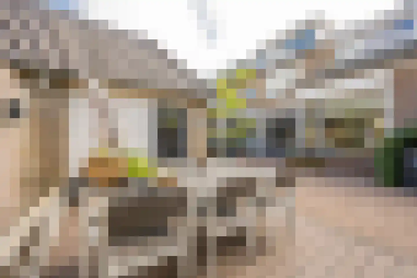 Larixlaan 74 Nijkerk thumbnail 42