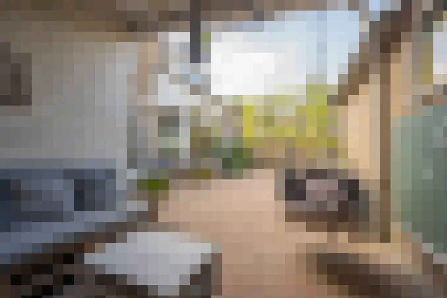 Larixlaan 74 Nijkerk thumbnail 44