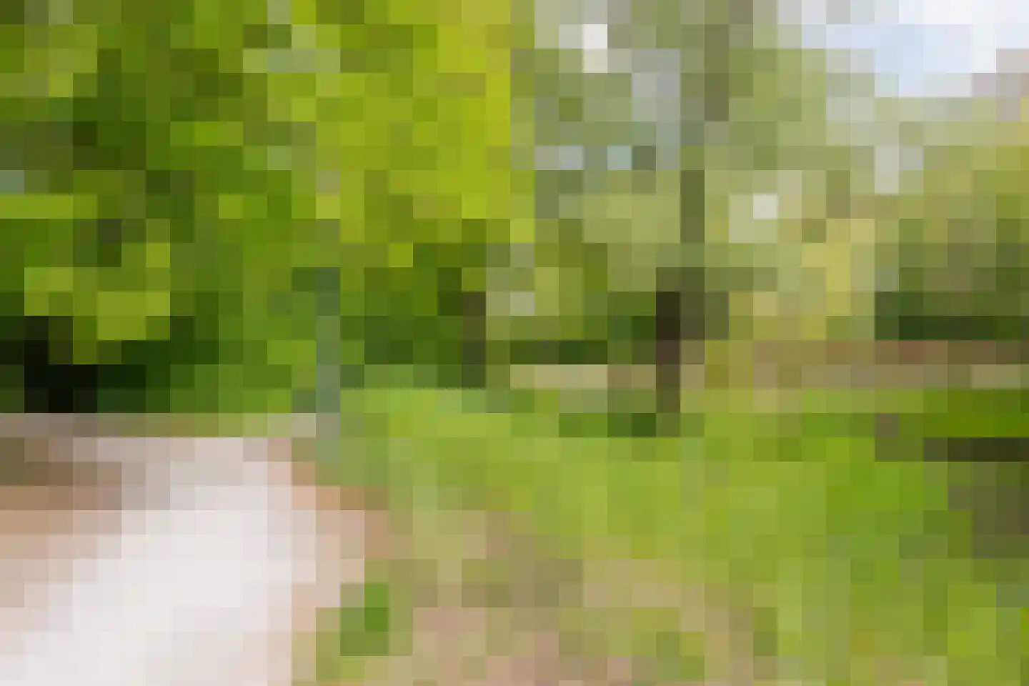 Larixlaan 74 Nijkerk thumbnail 52