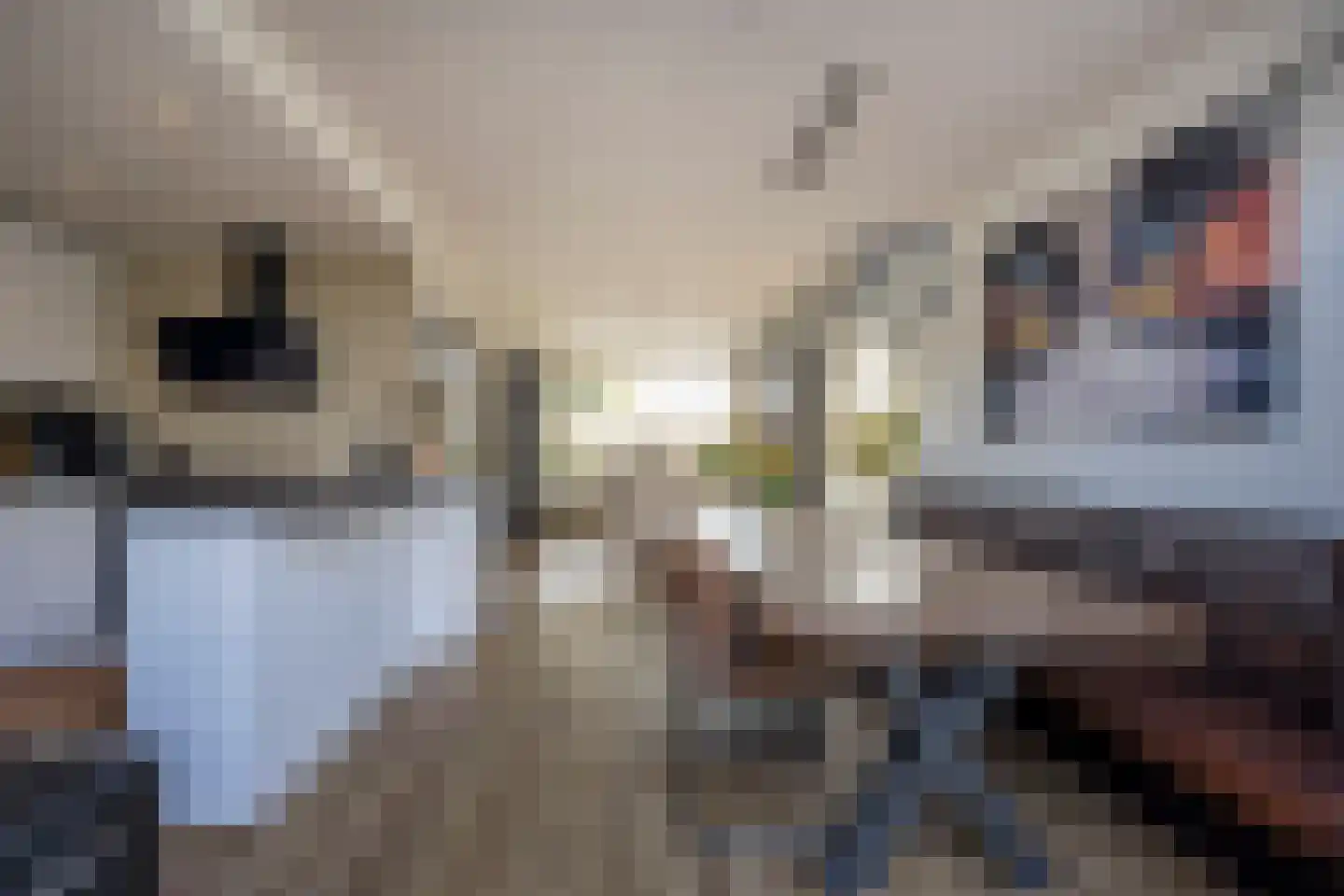 Larixlaan 74 Nijkerk thumbnail 9