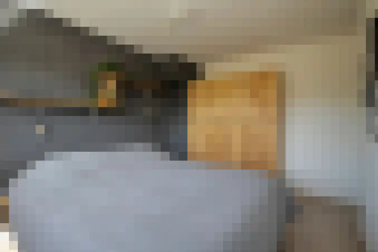 Larixlaan 8 Zwolle thumbnail 13